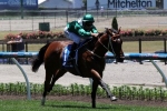 Kensington Stakes Ideal for Headwater First-Up