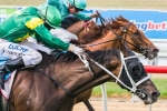 Instrumentalist Sustains Late Charge to Win 2014 Mornington Cup