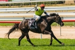 Tuscan Fire Heads Monday’s 2013 Adelaide Cup Odds