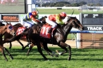 Well Sprung Chases 2016 Carlyon Stakes Upset
