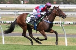 Tris Tops 2016 Queen Adelaide Stakes Nominations