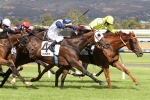 Tanby wins 2015 Adelaide Cup in tight finish