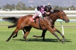 Capacity SA Fillies Classic 2014 Field Released