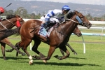 Jolly Excited Over Kushadasi’s SA Derby 2014 Chances