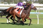 Driefontein Leads Tight The Goodwood 2014 Odds