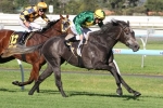 Girl In Flight Could Contest 2014 Railway Stakes