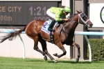 Maybe Discreet Heads 2014 RA Lee Stakes Nominations
