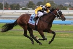 Epsom Hopes Head 2013 Shannon Stakes Nominations