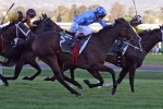 2016 Let’s Elope Stakes Field & Odds: Top Two Hard to Split