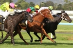 May’s Dream Sprints Well to Claim 2014 Australasian Oaks