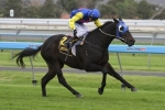 Will Local Hioctdane Keep SA Derby 2013 Trophy in Adelaide?