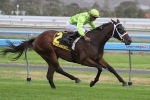 Maybe Discreet Targets Myer Classic 2013