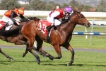 Strykum Capable of Success in Cap D’Antibes Stakes