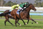 Motivado Out to Bounce Back in Ballarat Cup 2014