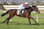 Chabaud Too Good in SA Fillies Classic