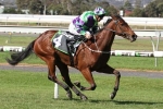 Quezette Stakes Not Confirmed for I Am A Star