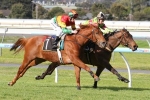 Hamstring No Issue for Richie’s Vibe in 2015 Australia Stakes