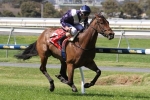 Redelva Stakes Ideal for Viddora