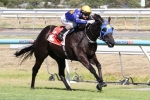 2015 Chester Manifold Stakes a “Whole Other Level” for Boristar