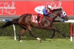 Japhils May Be Out of Her Depth in RA Lee Stakes