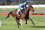 2013 A.R. Creswick Stakes Nominations