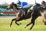 2014 Cox Plate Considered for Sweynesse