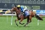 Magnifisio Leads 2014 AJ Scahill Stakes Nominations