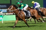 Waller Happy With Inside Alley for 2014 Kingston Town Favourite