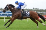 2013 Ajax Stakes Betting Tips & Selections