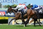 Three Late 2015 Golden Slipper Entries Confirmed