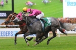 Catkins Claims Exciting Win in 2014 Breeders’ Classic