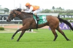 Bennetta Tops Civic Stakes 2014 Odds