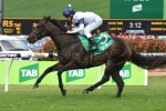 Golden Slipper Favourite She Will Reign Wins Silver Lead-Up