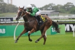 Mossfun Returns to Work Ahead of Spring Racing Campaign