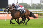Can Red Tracer Win 2013 Tattersall’s Tiara From Barrier 15?