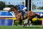Hartnell Makes Easy Work of 2015 Sky High Stakes