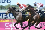 Target In Sight Wins 2015 Maurice McCarten Stakes