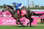 Sunshine Coast Guineas Ideal Tune-up for Winx