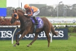 The Championships 2017 Day 1: Randwick Scratchings & Track Report