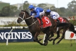 Give In Track Best For Winx at Flemington on Saturday