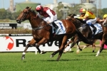 Earthquake to Resume in 2014 Silver Shadow Stakes