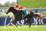 Kencella Jogs Home to Win 2014 Maurice McCarten Stakes