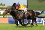 Silent Achiever Upsets Favourites to Win 2014 Ranvet Stakes