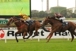 Steps In Time Claims Maiden Group 1 in 2014 Coolmore Classic