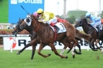 Hayes Hoping for Wet Hong Kong Cup 2014