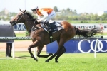 Altomonte Reaches for Flight Stakes 2013 With Slipper Winner