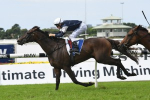 Assign Wins Neville Sellwood Stakes