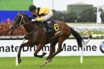 Champagne Stakes Likely for The Schweppervescence Winner The Mission