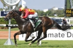 Three-Year-Olds to Test Malaguerra in All Aged Stakes 2016