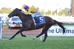 2015 Doncaster Mile Form Guide & Preview